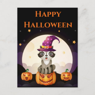 Cartão Postal Assistente Raccoon