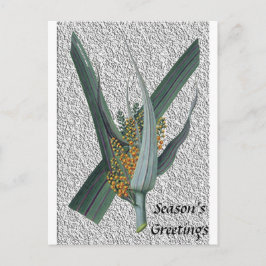 Cartão Postal Astelia Nervosa