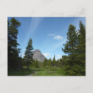 Cartão Postal Aster Park Trail no Glacier National Park