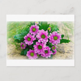 Cartão postal Asters