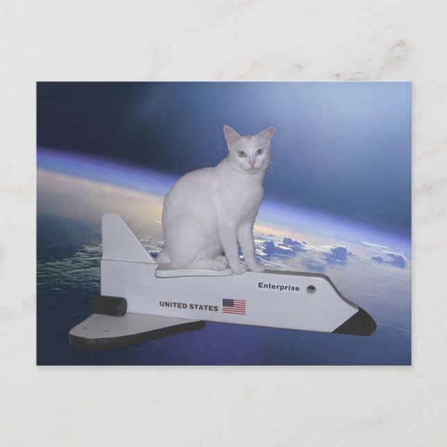 Cartão Postal Astronauta Cat (Espírito) no Shuttle Espacial (Frente)