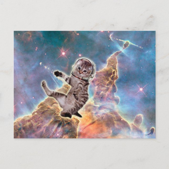 Cartão Postal Astronauta de gato gordo (Frente)