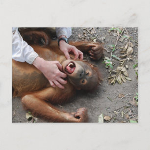 Cartão Postal Ataque de Alienígena de filme monster