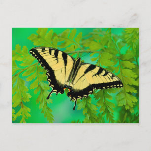 Cartão Postal Aterrissagem com borboleta