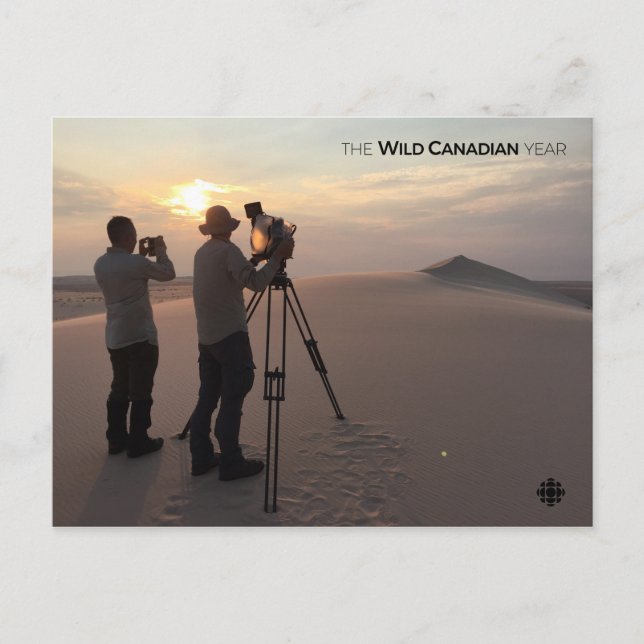 Cartão Postal Athabasca Sand Dunes (Frente)