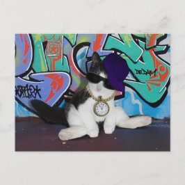 Cartão Postal Atitude de Gato...................................