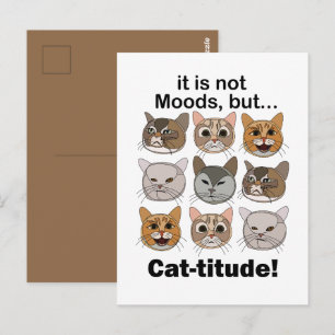 Cartão Postal Atitude de Gato Humores de Gato Amantes de Gatos