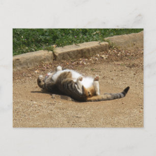 Cartão Postal Ativando