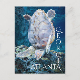 Cartão Postal Atlanta Georgia Turtle Dive