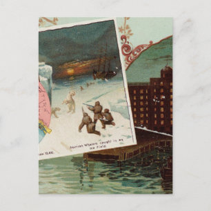 Cartão Postal Atlas ilustrado de arfivelas