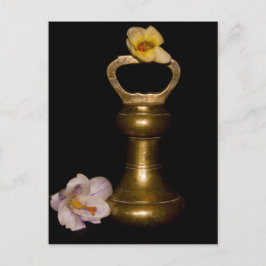 Cartão Postal Atração Floral