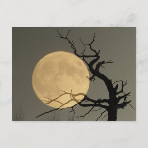 Cartão Postal Atrás - Lua Cheio atrás de uma pequena colagem d