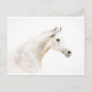 Cartão Postal Através da Cintura