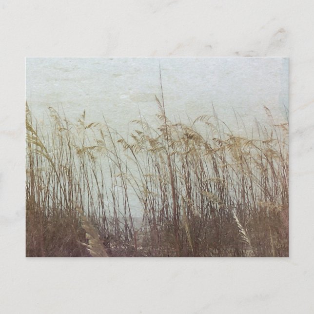 Cartão Postal Através das Dunas II (Frente)