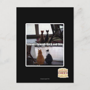 Cartão Postal Através de espesso e fino