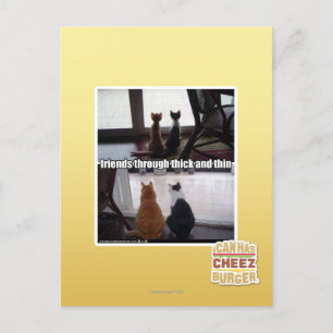 Cartão Postal Através de espesso e fino