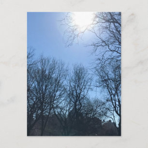 Cartão Postal Através do Nova Iorque Sol do Parque Riverside Tre