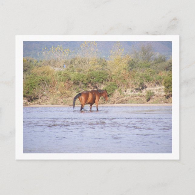 Cartão Postal atravessando o rio (Frente)