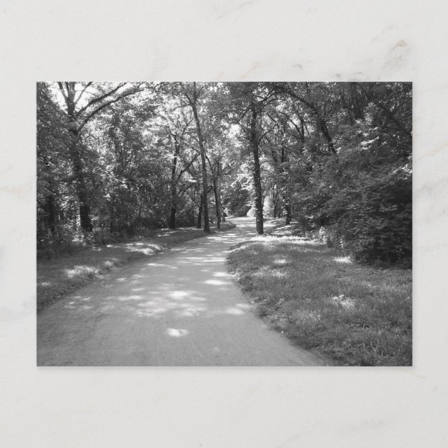 Cartão Postal Atravesse o bosque (Frente)