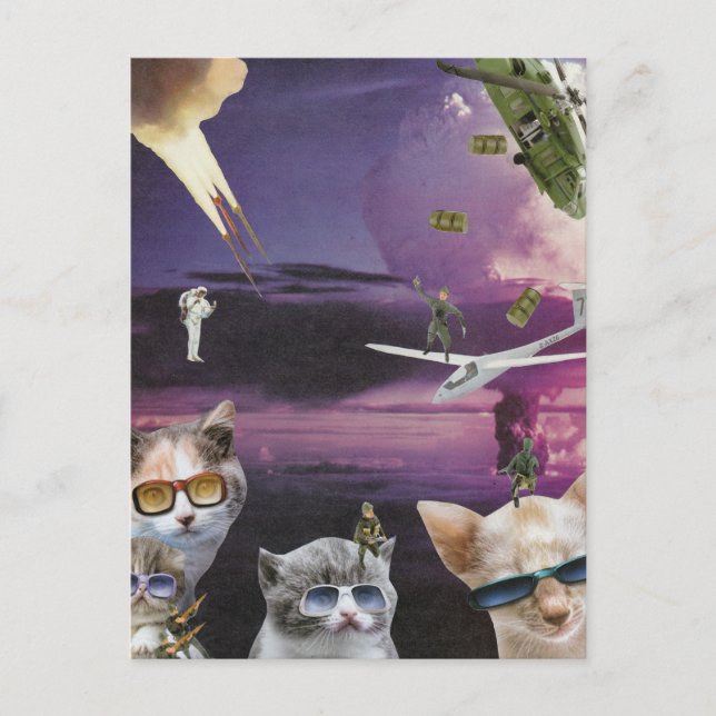 Cartão postal Attack of the Cool Cats (Frente)