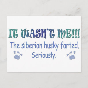 Cartão Postal aug315fartSiberianHusky.jpg