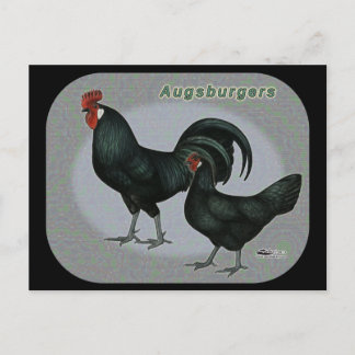 Cartão Postal Augsburger Fowl