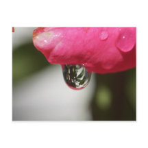 Aumentou com uma vista