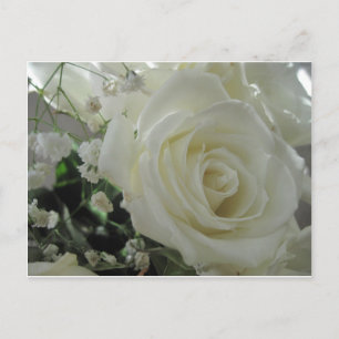 Cartão Postal Aumentou floral