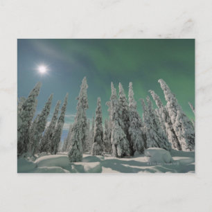 Cartão Postal Aurora Boreal