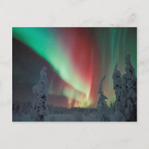 Cartão Postal Aurora Boreal Alaskiana