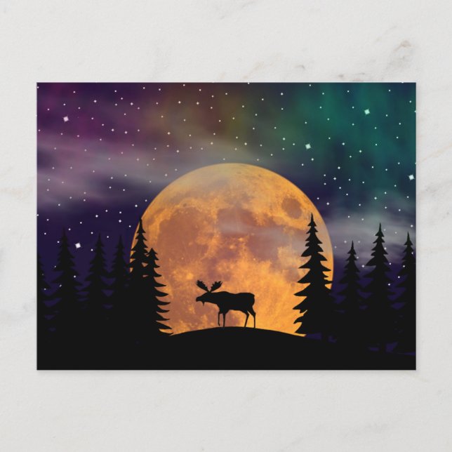 Cartão Postal Aurora boreal do norte das noites (Frente)