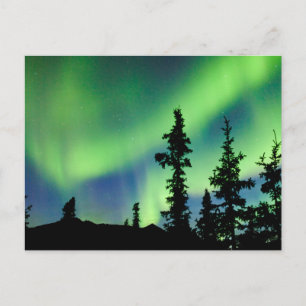 Cartão Postal Aurora boreal intensa sobre a taiga de abetos pret