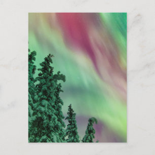 Cartão Postal Aurora Boreal   Inverno em Glennallen, Alasca