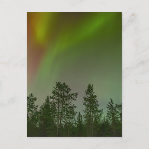 Cartão Postal Aurora Boreal Luzes do Norte Céus Brilho Faísca