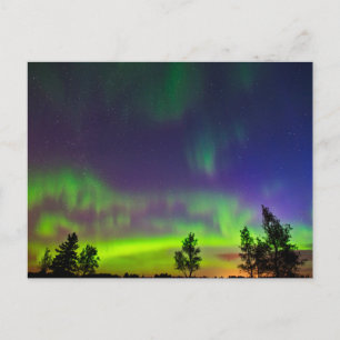 Cartão Postal Aurora Boreal   Manitoba Canadá