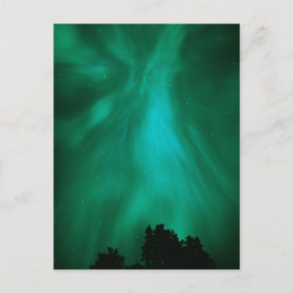 Cartão Postal Aurora Boreal Noturna | Ontário, Canadá