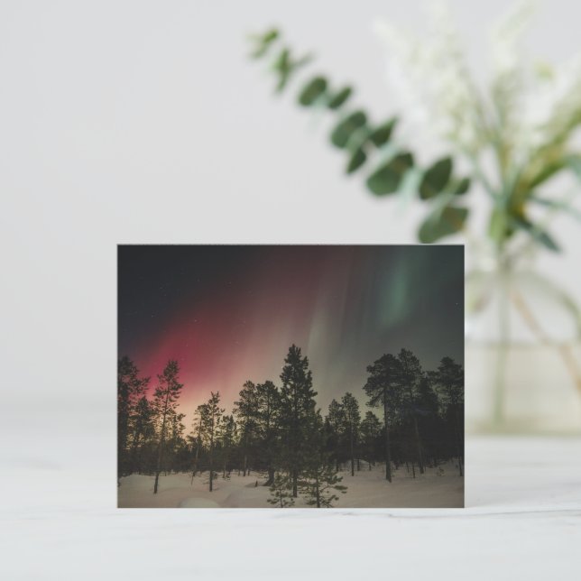 Cartão Postal Aurora Boreal Sobre Floresta Nevada (Em pé/Frente)