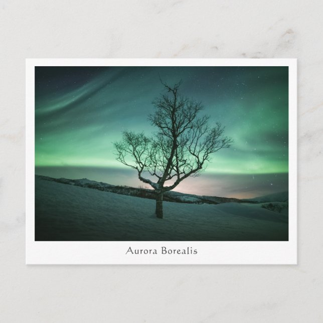 Cartão Postal Aurora Borealis (Frente)