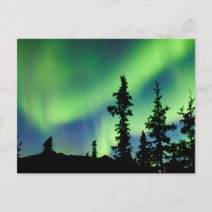 Cartão Postal Aurora borealis intensa sobre a taiga-peluce-preto