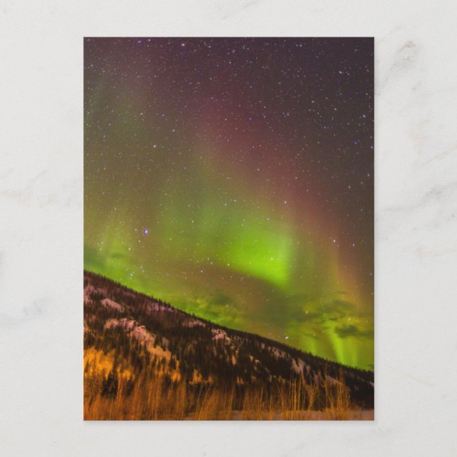Cartão Postal Aurora Borealis | Montanhas Fairbanks Alaska (Frente)