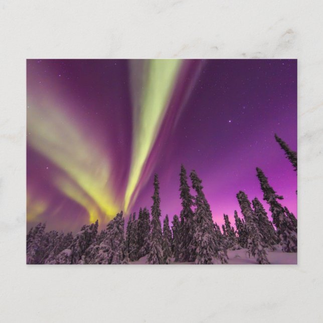 Cartão Postal Aurora Borealis Norte Luzes Fairbanks Alasca (Frente)