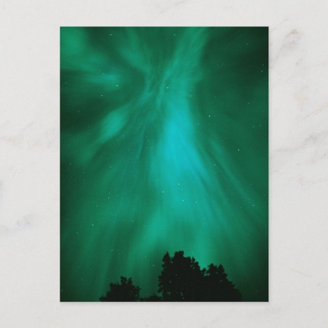 Cartão Postal Aurora Borealis Noturno | Ontário, Canadá (Frente)