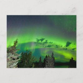 Cartão Postal Aurora borealis sobre a floresta boreal