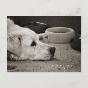 Cartão Postal Ausente - Cartão-postal