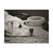 Ausente - Cartão-postal