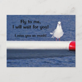Cartão Postal Ausente - Cartão-postal Seagull
