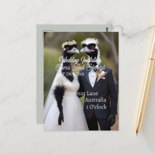 Cartão Postal Aussie Wedding Australian Emus, Wedding