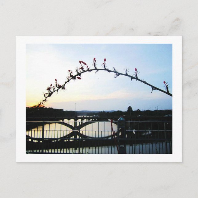 Cartão Postal Austin Texas (Frente)