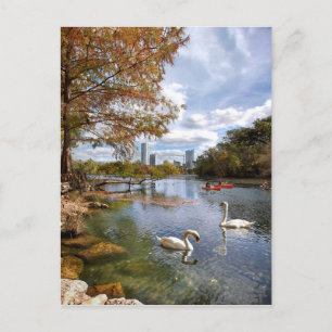 Cartão Postal Austin, Texas Barton Creek / Ladybird Lake Swans