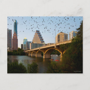 Cartão Postal Austin, Texas with Bats